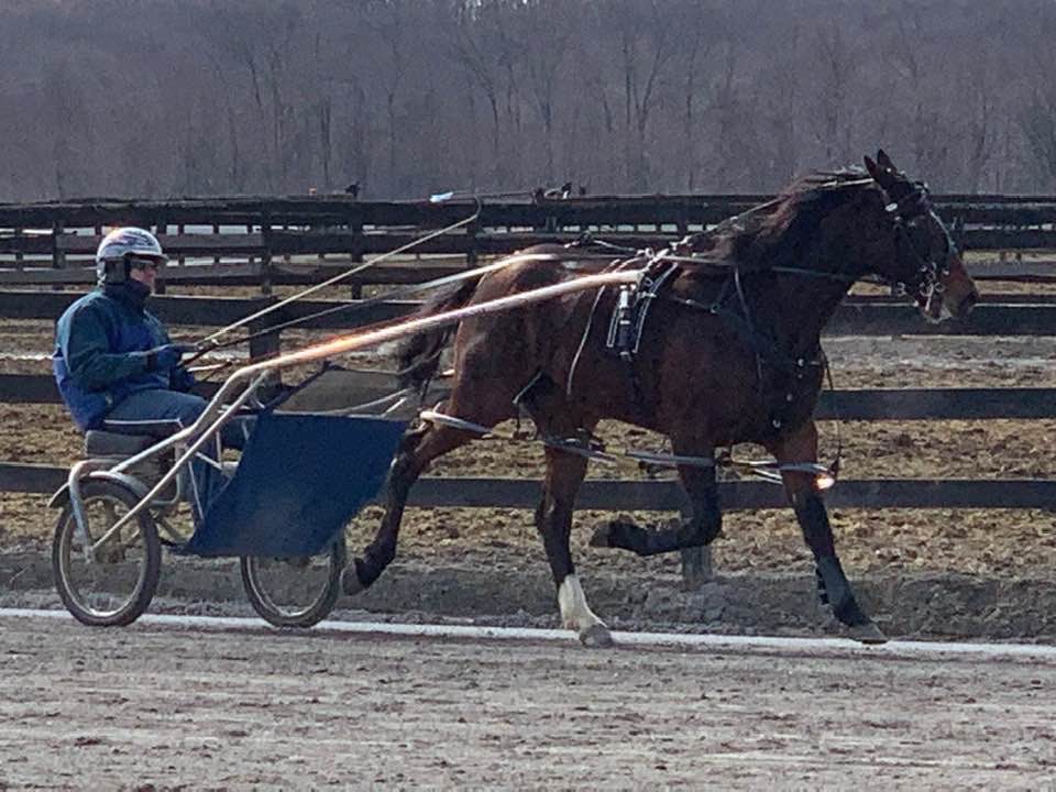 Bling training on the track